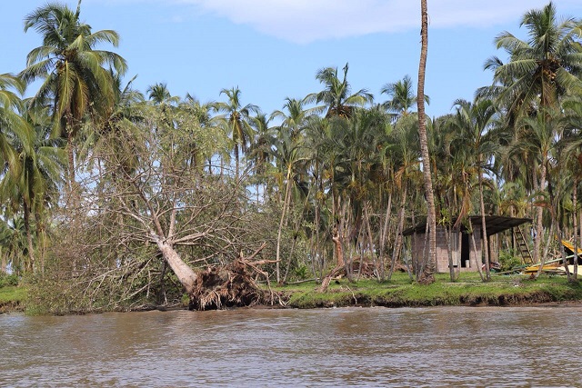 Costa Rica. Cambio del uso del suelo tras huracán Otto enciende alertas