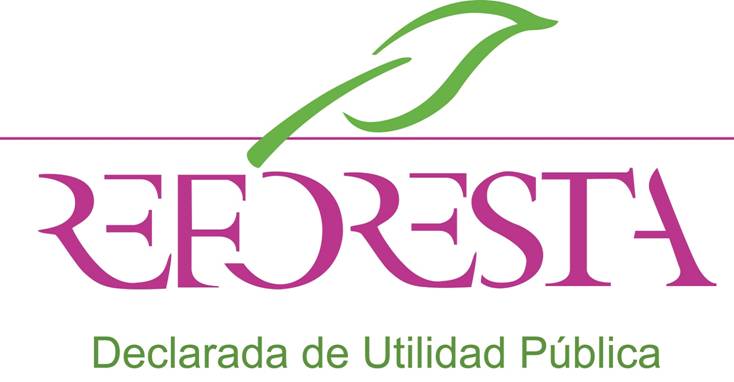 Empresas que apostaron por los proyectos de Reforesta