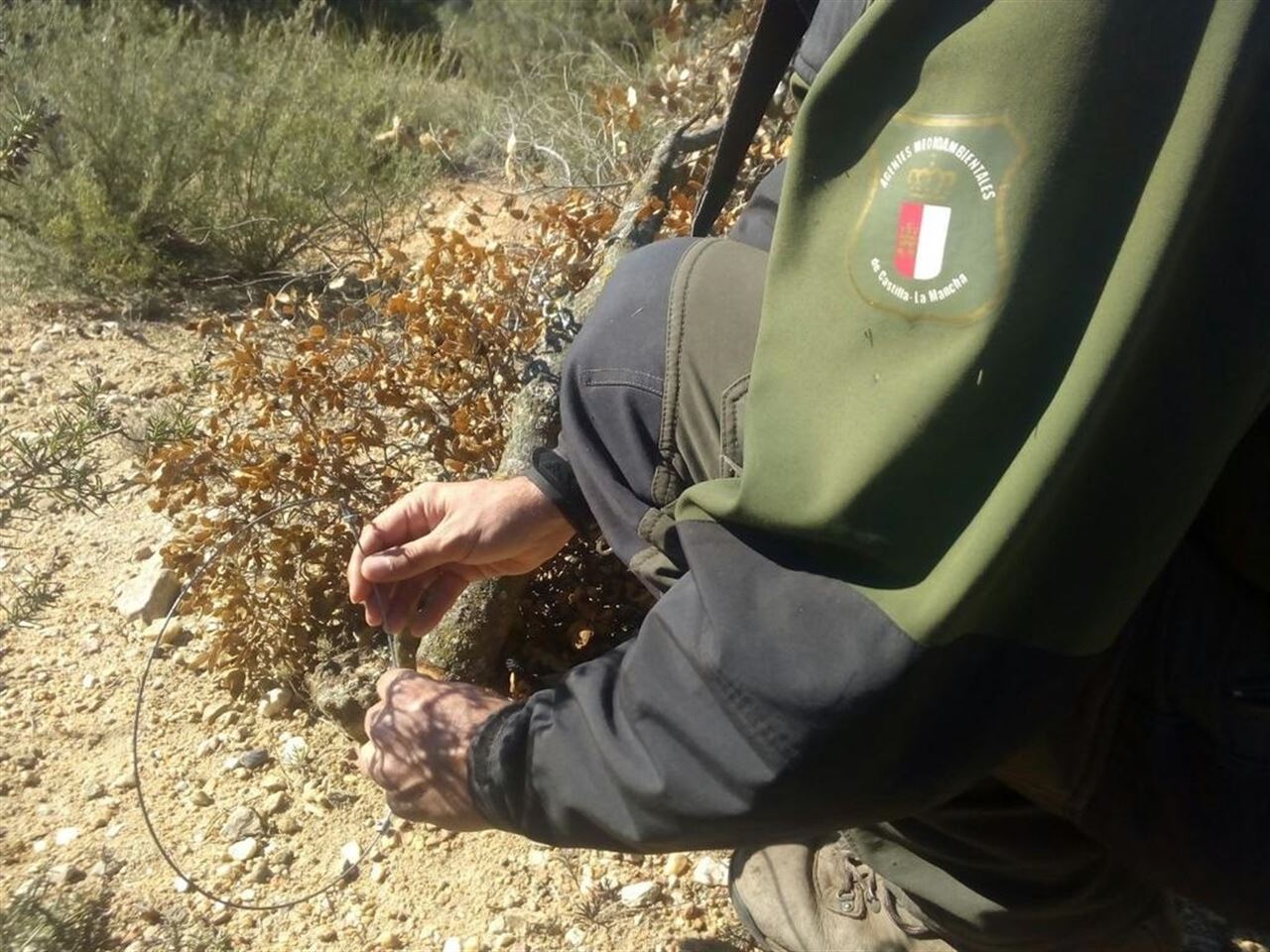 Castilla – La Mancha