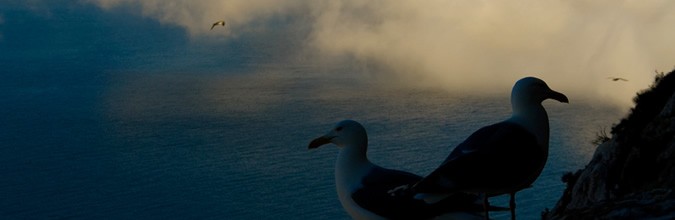 Valencia. Exigen rigor en la declaración de zonas de especial conservación