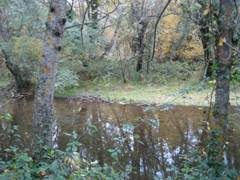 Medio Ambiente iniciará las obras de la variante del Camino Natural del Lozoya entre los municipios de Oteruelo del Valle y Rascafría