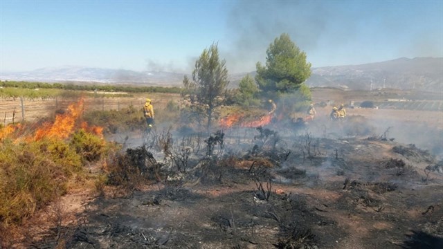 El Infoca da por controlado el incendio forestal de Padul (Granada)