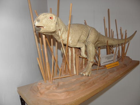 El dinosaurio herbívoro más pequeño de España