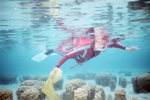 Relacionan un mineral marciano con la acción de microbios