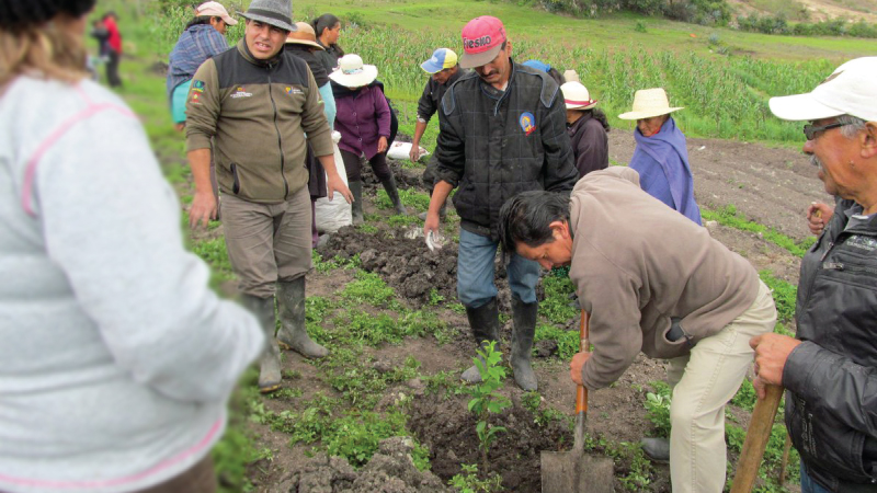 Ecuador. Proyecto de adaptación al cambio climático recibe reconocimiento por su labor en el cantón Nabón