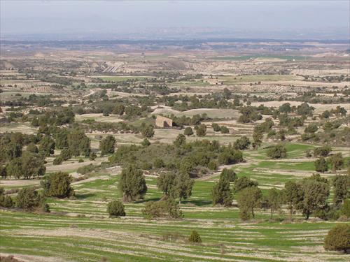 Aragón. IU reclama la creación del Parque Nacional Estepario de Los Monegros