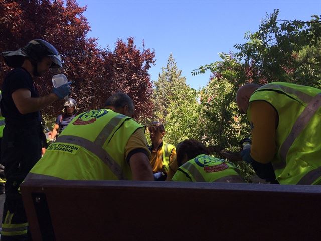 En Madrid muere una tercera persona en 24 meses por la caída de una rama de un árbol…