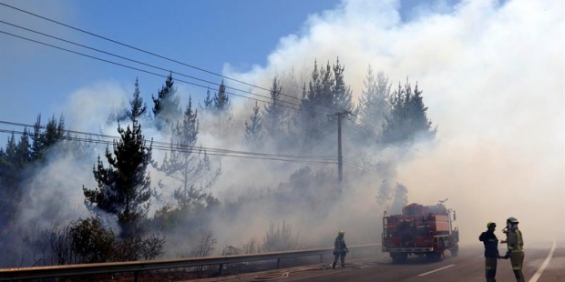 Chile. Alerta roja por incendios en Viña del mar y Valparaíso