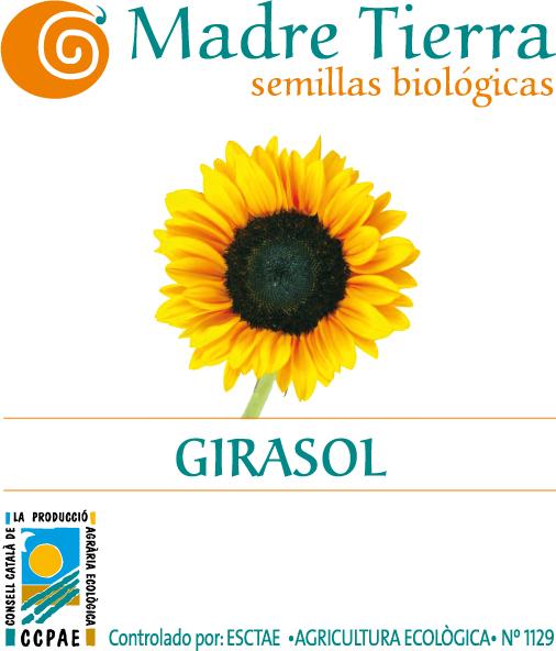 Semillas ecológicas de girasol madre tierra