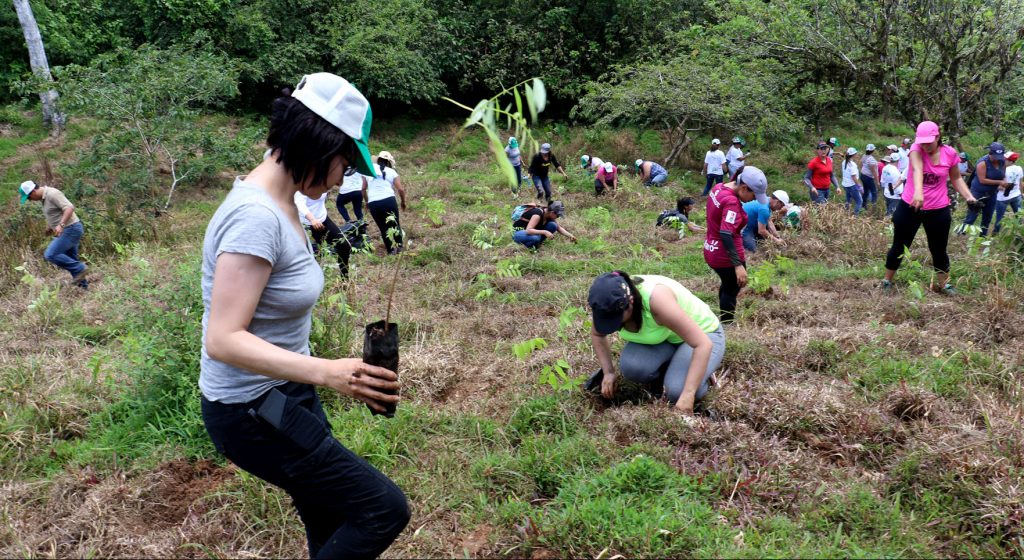 Una de las más grandes plantaciones de nuevos árboles: 5.000