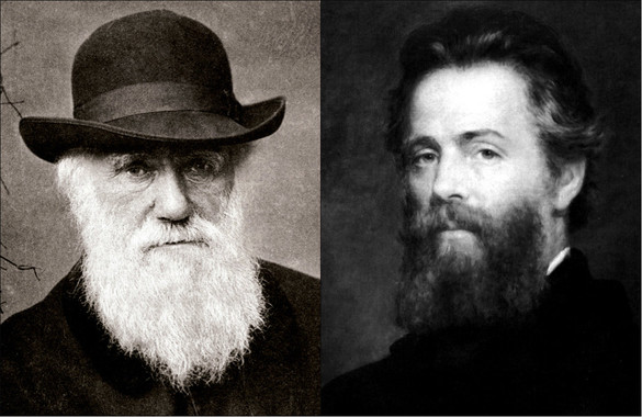 Darwin y Melville cara a cara en las islas Galápagos
