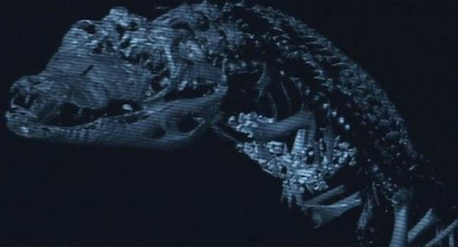 Las momias animales egipcias están vacías