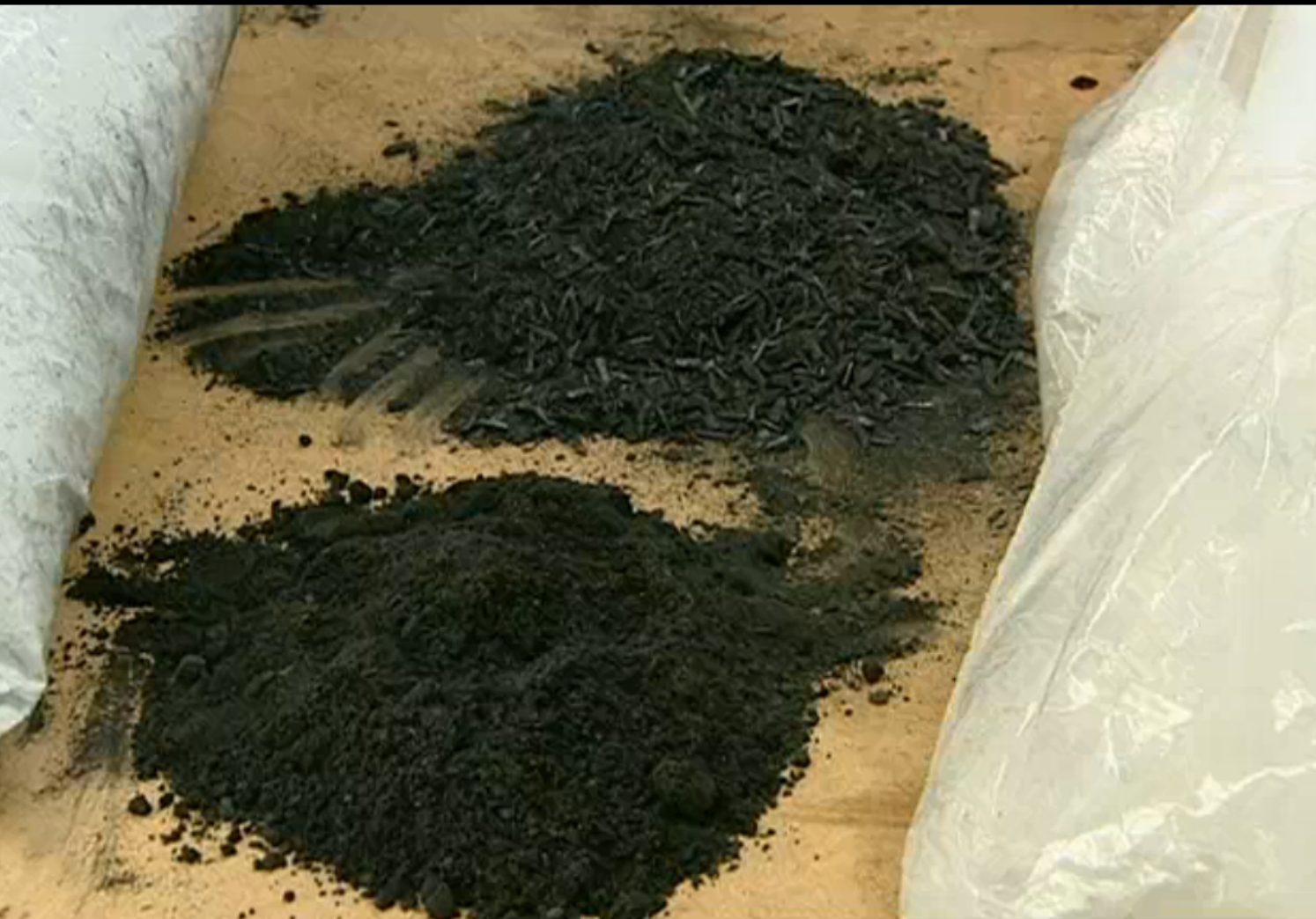 NEIKER prueba la idoneidad de las cenizas de biomasa como fertilizante para Pinus radiata