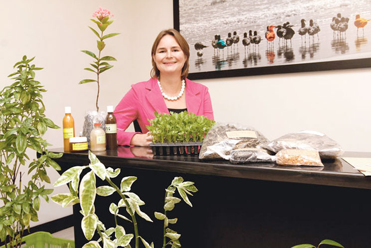 Gestores del cambio climático