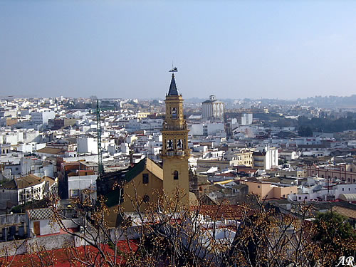 Alcalá de Guadaíra dice NO a la incineradora