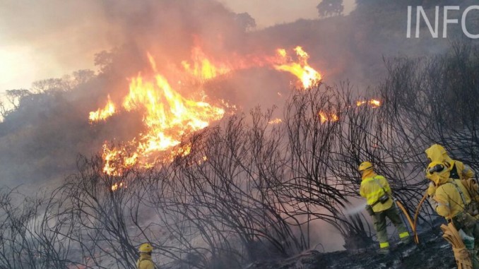 El Infoca sigue trabajando en la extinción del incendio forestal del Barranco Cornicabra de Rubite (Granada)