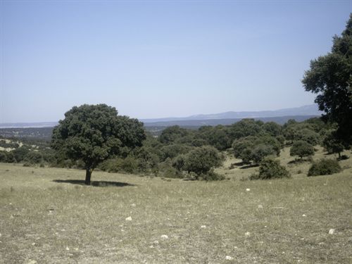 LA FNYH impulsa la conservación de la Reserva Biológica Campanarios de Azaba (Salamanca)