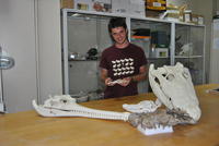 Describen el cocodriloide más antiguo de Europa