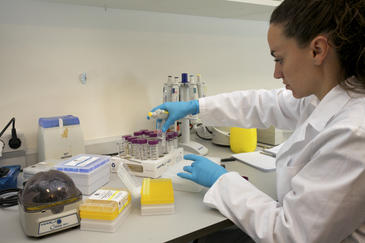 Investigadores españoles secuenciarán el genoma del océano y la atmósfera