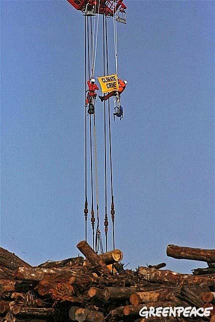 Greenpeace denuncia la complicidad de la editorial Susaeta con la deforestación en Indonesia