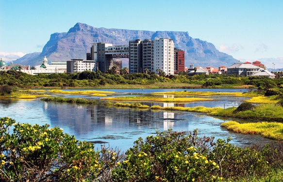 Las ciudades amenazan la biodiversidad