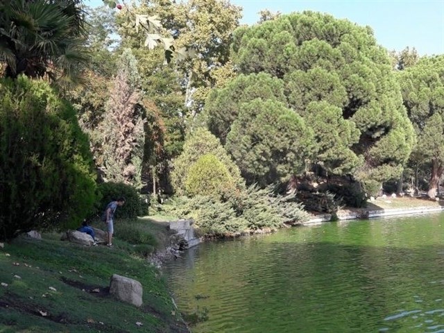 Madrid vaciará el Lago de Casa de Campo para limpiarlo y repoblarlo con peces autóctonos