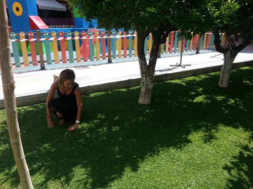 Ayuntamiento de Murcia incorpora a las zonas ajardinadas nuevas plantas tapizantes que requieren un menor mantenimiento