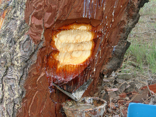 Nuevas perspectivas para el sector de la resina