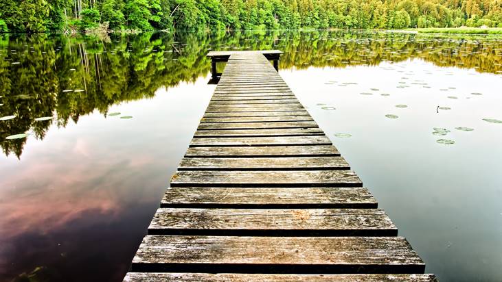 Quieres formarte como profesional del Ecoturismo