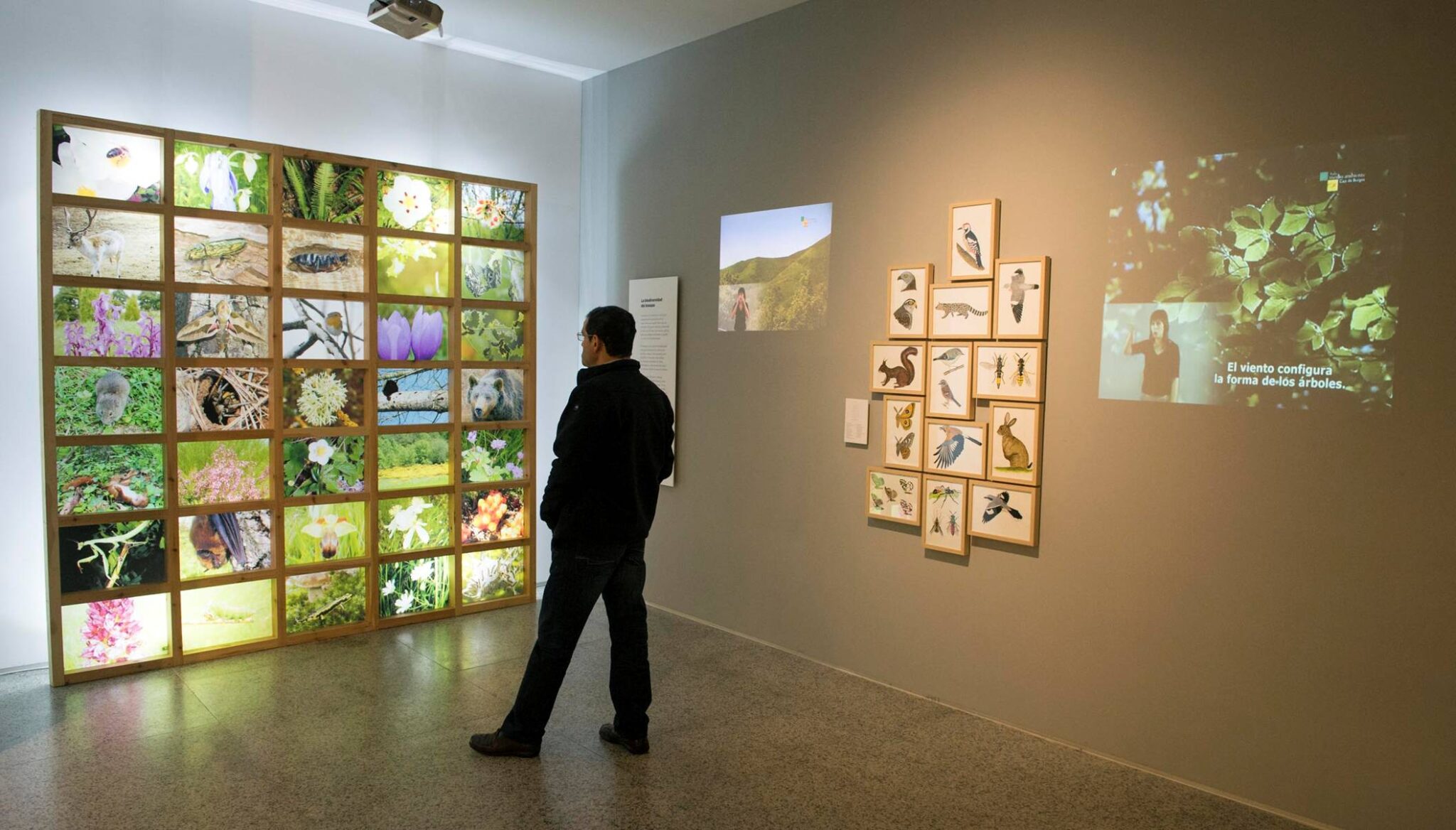 Burgos. El Museo de la Evolución Humana presenta una nueva exposición temporal sobre biodiversidad