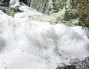 WWF presenta una queja en Bruselas por el vertido de aguas sin depurar a Doñana