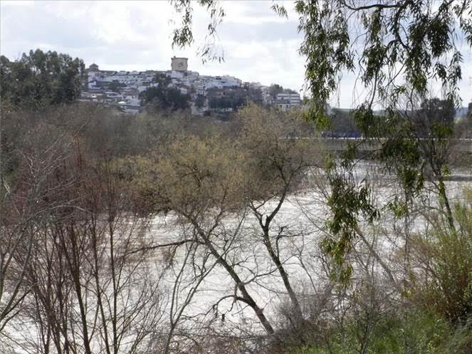 Abren expediente a una secadora de orujo de Córdoba por un "vertido accidental" al Guadalquivir