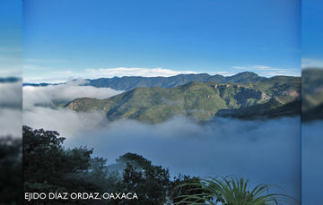 En manos de la sociedad