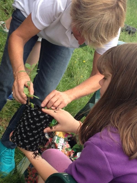 Cómo plantar un árbol en el sistema Air-pot