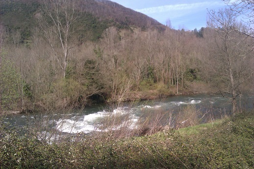 Asturias. La Confederación se carga la naturalidad del rio Narcea