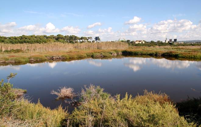 Baleares. Recurso contra la licencia de actividades en la zona húmeda de Ses Fontanelles