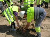 La Malvasía Cabeciblanca