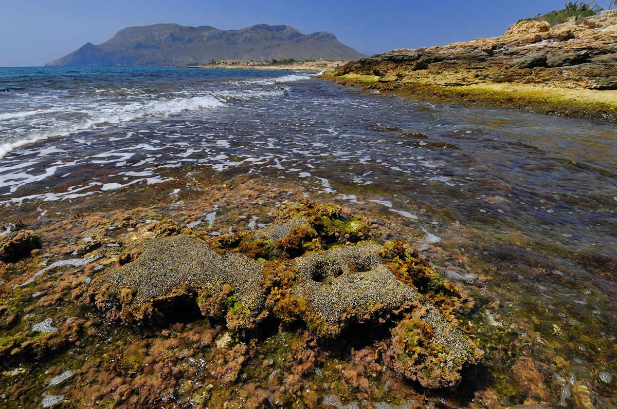 Cabo Cope no será una urbanización de lujo