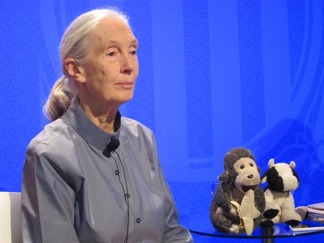 Jane Goodall: "El dinero se ha convertido en un Dios"