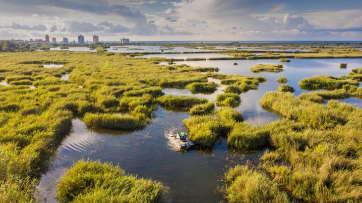 Es imprescindible cultivar conservando la naturaleza