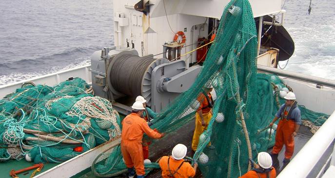 Registro Universal de Buques Pesqueros para combatir la pesca ilegal