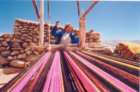 Impulsan el turismo sustentable en el Noroeste