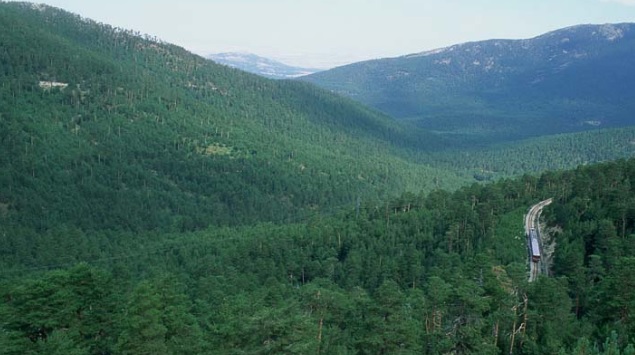 Medio Ambiente destaca las medidas puestas en marcha para la mejora de la calidad del aire en España
