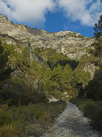 Ecologistas denuncian el uso indebido de motocicletas en Sierra Tejeda