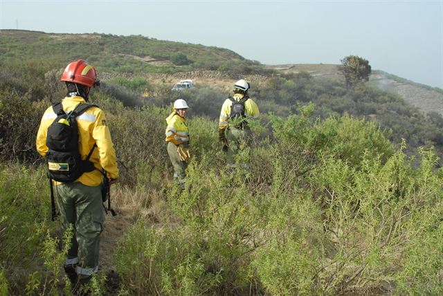 Crearán una brigada forestal canaria
