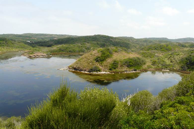Movimientos a nivel político para dar respuesta al proceso de degradación del Parque Natural de sAlbufera