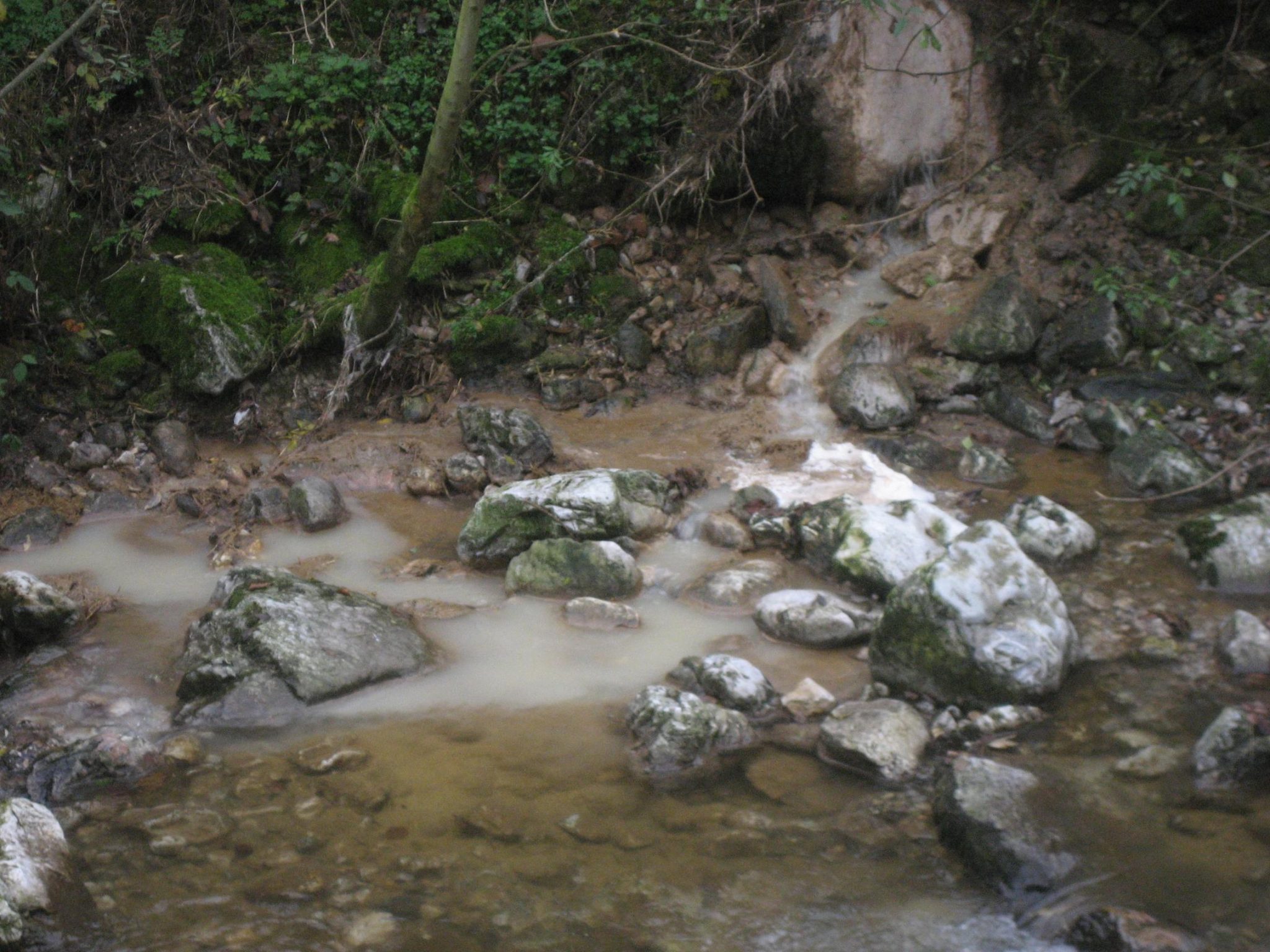 La Confederación sanciona al Ayuntamiento de Cabrales por los vertidos al rio Duje (Asturias)
