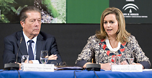 Andalucía quiere crear empleo verde