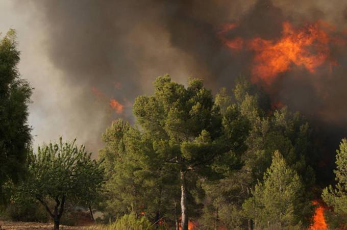 Valencia autoriza el aprovechamiento de madera afectada por los incendios en Alcublas y Andilla