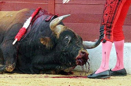 El PACMA convoca una manifestación en Madrid para acabar con la tauromaquia en España